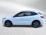 Used 2023 Ford Escape ST-Line image 4