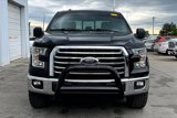 Used 2016 Ford F150 XLT w/ Equipment Group 302A Luxury image 2