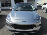 Used 2022 Ford Escape SE w/ Convenience Package image 2