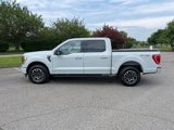 Certified 2023 Ford F150 XLT w/ Equipment Group 302A High image 5
