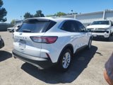 Used 2021 Ford Escape SE image 2