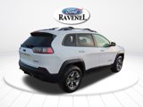 Used 2019 Jeep Cherokee Trailhawk image 4