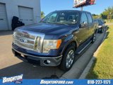 Used 2012 Ford F150 Lariat w/ Lariat Chrome Pkg image 2