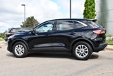 Used 2022 Ford Escape SE w/ Convenience Package image 3