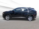 Used 2023 Hyundai Tucson SE image 2