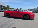 Used 2023 Ford Mustang Premium image 2