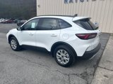 New 2025 Ford Escape Active w/ Cold Weather Package image 5