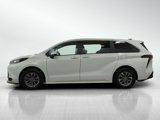 Used 2023 Toyota Sienna LE image 3
