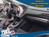 Used 2023 Subaru WRX Premium image 4