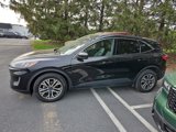 Certified 2020 Ford Escape SEL image 4