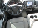Used 2018 Ford F150 XLT w/ Equipment Group 302A Luxury image 5