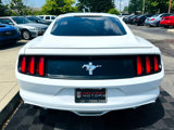 Used 2016 Ford Mustang Coupe w/ Equipment Group 051A image 5