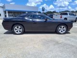 Used 2023 Dodge Challenger SXT image 2