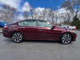 Used 2017 Honda Accord EX-L image 5
