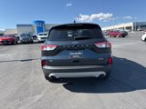 Used 2022 Ford Escape SE image 6