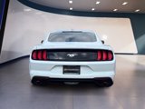 Used 2023 Ford Mustang Coupe image 4