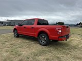 Used 2019 Ford F150 XL w/ Equipment Group 101A Mid image 4