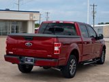 Used 2019 Ford F150 XLT w/ Equipment Group 302A Luxury image 4