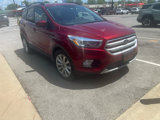 Used 2019 Ford Escape SEL image 2