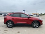 New 2025 Ford Escape ST-Line w/ Tech Pack #1 image 6