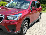 Used 2020 Subaru Forester Premium image 5