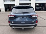 Used 2020 Ford Escape SEL image 4