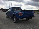 Used 2010 Ford F150 XLT image 5