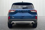 Used 2022 Ford Escape SE w/ Convenience Package image 4