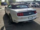 Used 2015 Ford Mustang Premium image 4