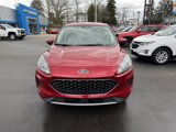 Used 2021 Ford Escape SE image 3