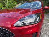Used 2020 Ford Escape SE image 3