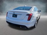 New 2025 Cadillac CT5 Premium Luxury image 5