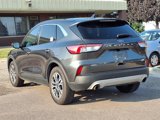 Certified 2020 Ford Escape SEL image 3