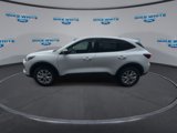 New 2025 Ford Escape Active w/ Tech Pack #1 image 5