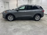 Used 2022 Ford Escape SE w/ Convenience Package image 2
