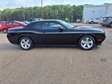 Used 2023 Dodge Challenger SXT image 2