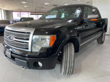 Used 2009 Ford F150 Platinum image 3