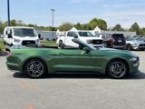Used 2023 Ford Mustang Premium image 4