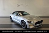 Used 2019 Ford Mustang Premium image 3