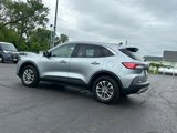 Used 2022 Ford Escape SE w/ Cold Weather Package image 6
