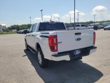 Certified 2019 Ford Ranger XLT w/ Equipment Group 301A Mid image 5