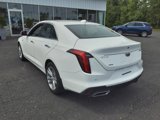 Used 2023 Cadillac CT4 Luxury w/ Sun And Sound Package image 3