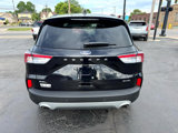 Used 2022 Ford Escape SEL image 6