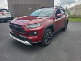 Used 2019 Toyota RAV4 Adventure image 3