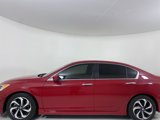 Used 2017 Honda Accord Sport image 3