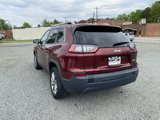 Used 2019 Jeep Cherokee Latitude Plus image 5
