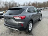 Certified 2021 Ford Escape SE w/ Cold Weather Package image 3