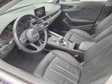 Used 2019 Audi A4 2.0T Premium w/ Convenience Package image 3