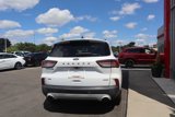 Used 2020 Ford Escape SE image 5