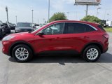 Used 2022 Ford Escape SE w/ Convenience Package image 2